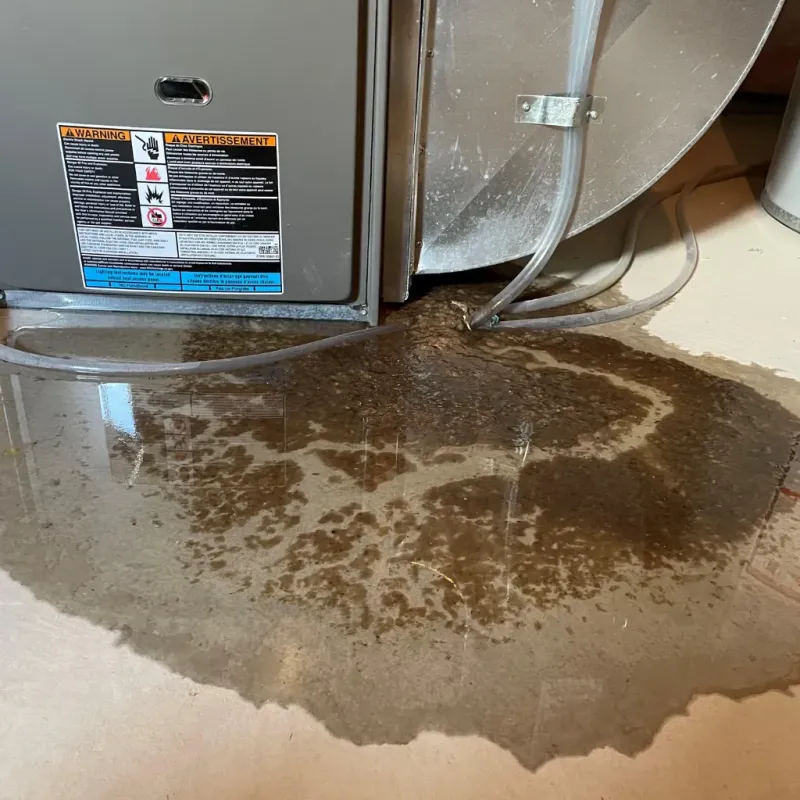 Appliance Leak Cleanup in Valley, AL